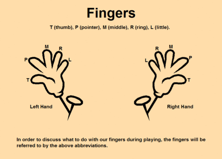Finger Abbreviation Chart
